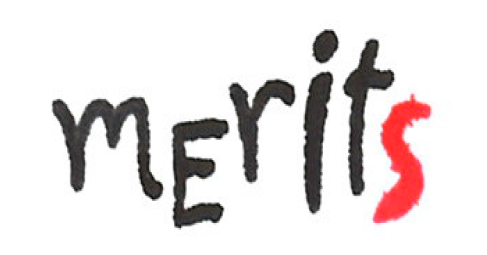 Logo Merits